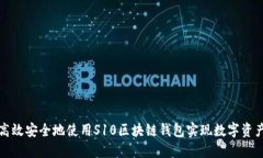 如何高效安全地使用S10区