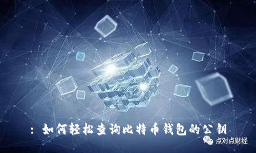 : 如何轻松查询比特币钱包的公钥