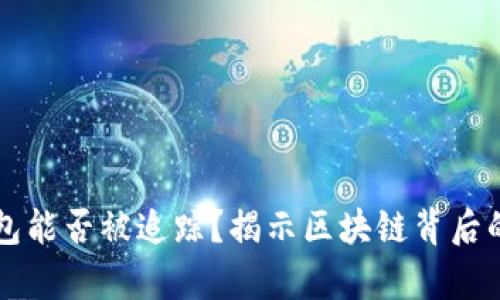 比特币钱包能否被追踪？揭示区块链背后的隐私真相