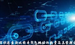 如何快速查询比特币钱包