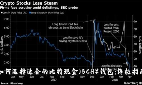 如何选择适合的比特现金（BCH）钱包：终极指南