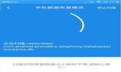 如何高效查询数字钱包的