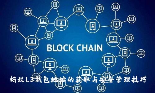 蚂蚁L3钱包地址的获取与安全管理技巧