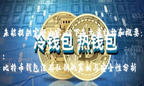 未能提供完整内容，以下是文章结构和概要：

:
比特币钱包没有私钥的真相与安全性分析