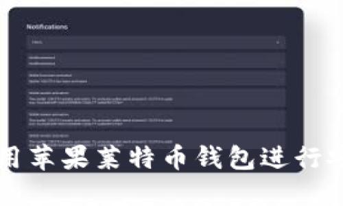如何使用苹果莱特币钱包进行安全交易