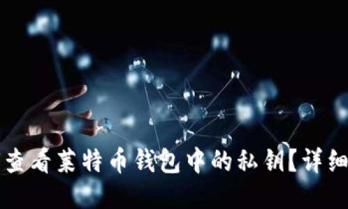 如何查看莱特币钱包中的私钥？详细指南