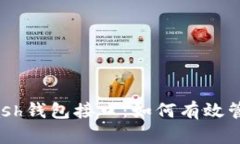 深入了解Dash钱包接口：如