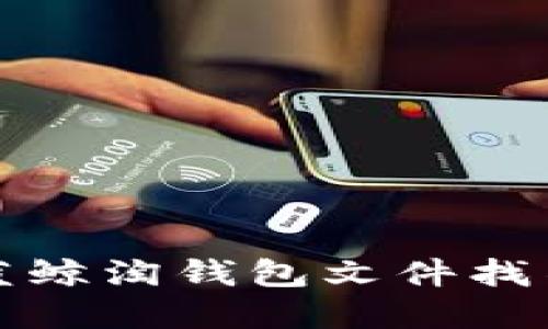 如何解决蓝鲸淘钱包文件找不到的问题