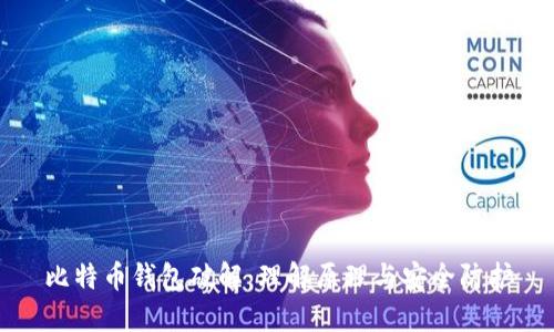 比特币钱包破解：理解原理与安全防护