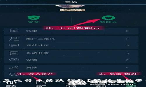 什么是比特币活跃钱包？解析与投资机会