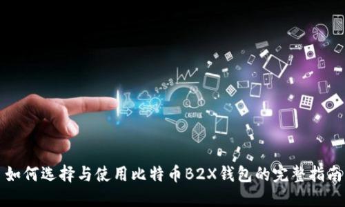 如何选择与使用比特币B2X钱包的完整指南