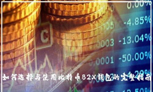 如何选择与使用比特币B2X钱包的完整指南