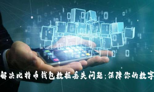 如何有效解决比特币钱包数据丢失问题：保障你的数字资产安全