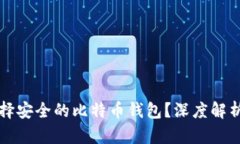 如何选择安全的比特币钱包？深度解析与推荐