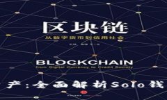 轻松管理数字资产：全面解析Solo钱包的功能与优