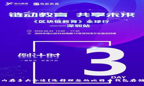比特币钱包内存多大合适？选择理想的比特币钱包存储空间的指南