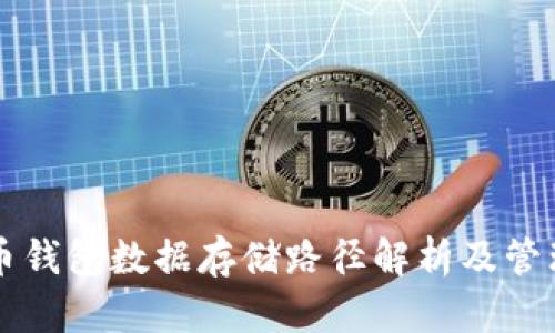 比特币钱包数据存储路径解析及管理指南
