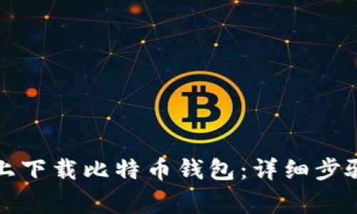 如何在手机上下载比特币钱包：详细步骤与注意事项