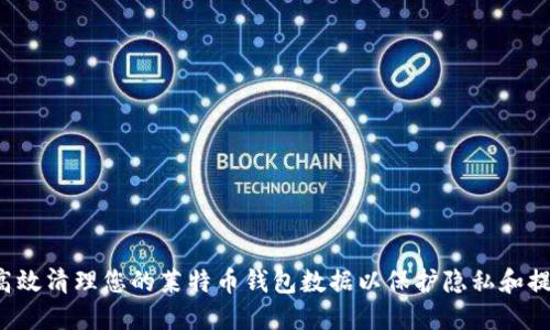  如何高效清理您的莱特币钱包数据以保护隐私和提高性能