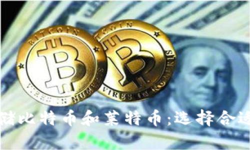 如何安全存储比特币和莱特币：选择合适的钱包指南