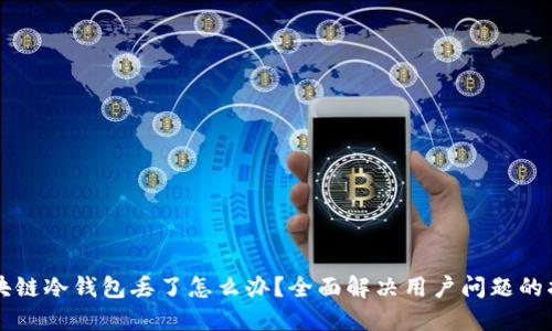 区块链冷钱包丢了怎么办？全面解决用户问题的指南