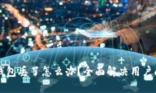 区块链冷钱包丢了怎么办？全面解决用户问题的指南