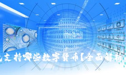 KCASH钱包支持哪些数字货币？全面解析及使用技巧