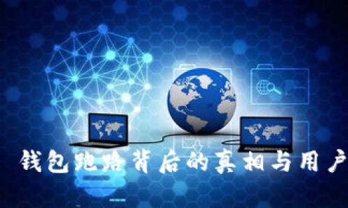 Token.im 钱包跑路背后的真相与用户应对策略