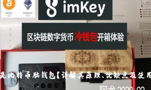 什么是比特币脑钱包？详解其原理、优缺点及使用方法