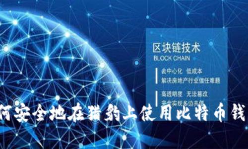 如何安全地在猎豹上使用比特币钱包？