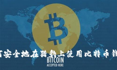 如何安全地在猎豹上使用比特币钱包？