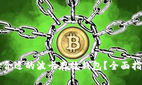 如何选择合适的波卡存放钱包？全面指南与推荐