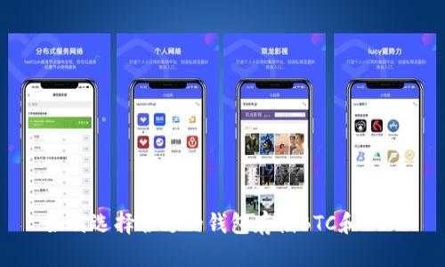 如何选择合适的钱包存储BTC和BCH