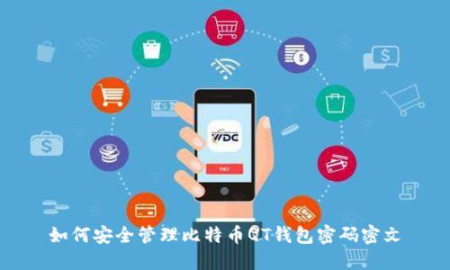 如何安全管理比特币QT钱包密码密文