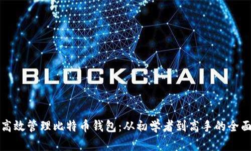 如何高效管理比特币钱包：从初学者到高手的全面指南