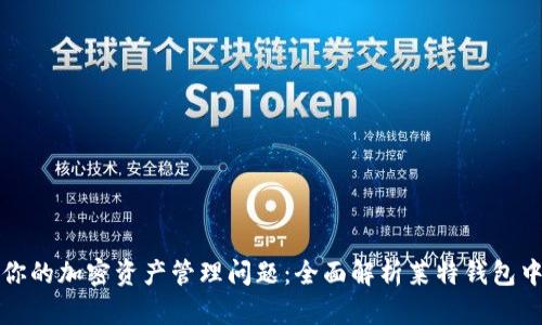 解决你的加密资产管理问题：全面解析莱特钱包中文版