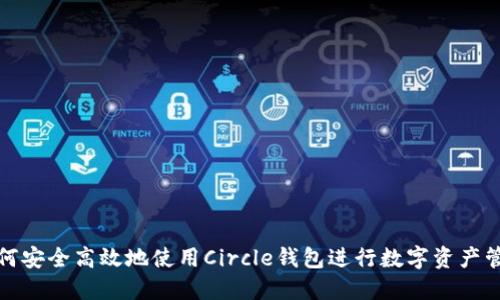 如何安全高效地使用Circle钱包进行数字资产管理