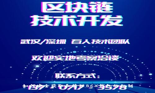 如何安全获取和管理BCX钱包的私钥