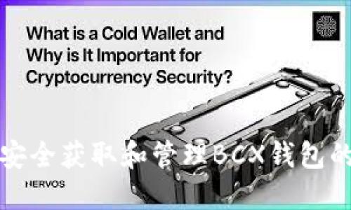 如何安全获取和管理BCX钱包的私钥
