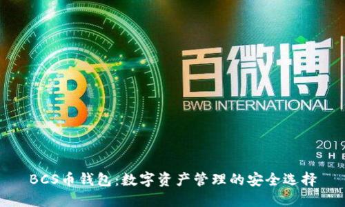 BCS币钱包：数字资产管理的安全选择