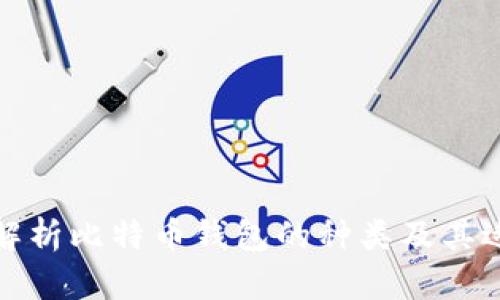 全面解析比特币钱包的种类及其适用性