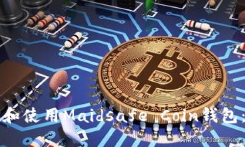 如何选择和使用Maidsafe Coin钱包：完全指南