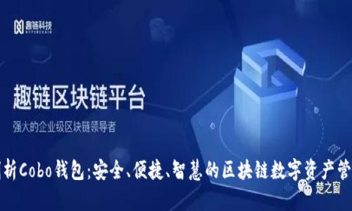 全面剖析Cobo钱包：安全、便捷、智慧的区块链数字资产管理工具
