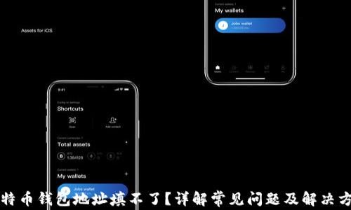 
比特币钱包地址填不了？详解常见问题及解决方案