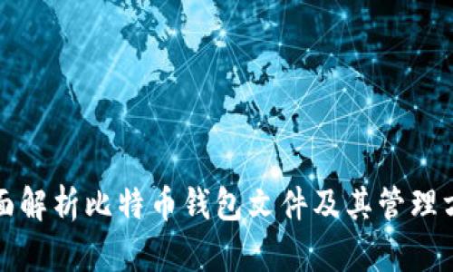 全面解析比特币钱包文件及其管理方法