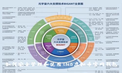 如何安全管理和使用TNB虚拟币官网钱包