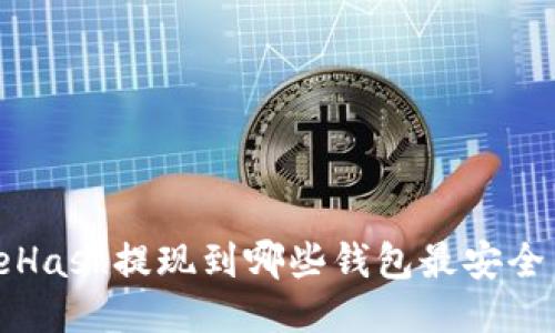  NiceHash提现到哪些钱包最安全高效？
