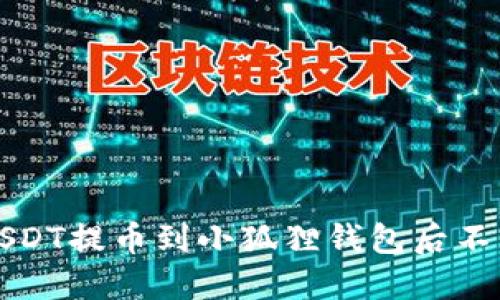 如何解决USDT提币到小狐狸钱包后不显示的问题