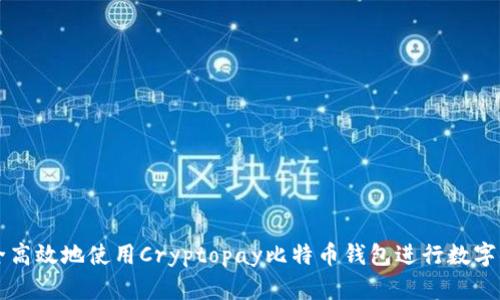 如何安全高效地使用Cryptopay比特币钱包进行数字货币交易