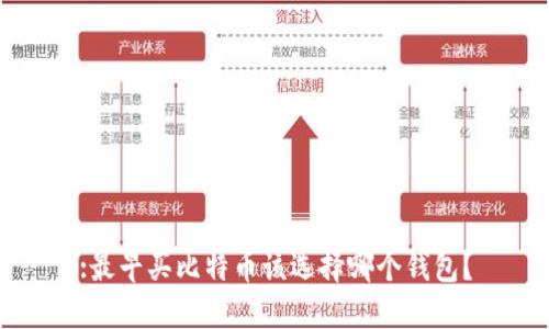 :最早买比特币该选择哪个钱包？